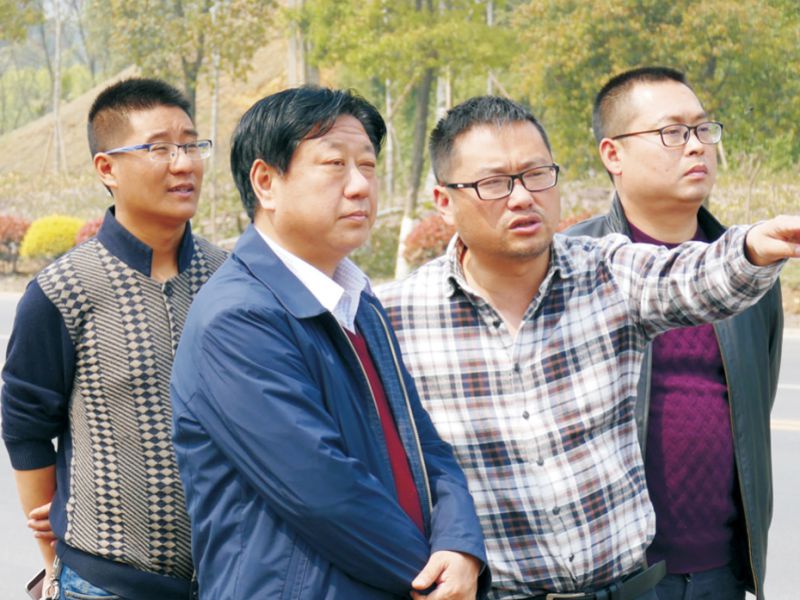 BB贝博艾弗森园林绿化维护